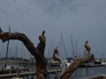 P1020576