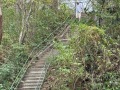 IMG_7793