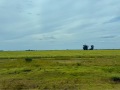 IMG_5947