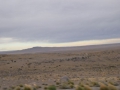 P1350990
