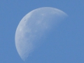 P1020488