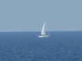 P1020490