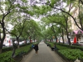 P1030942