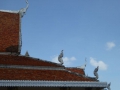 P1060388