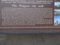 P1060872