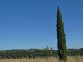 P1260025