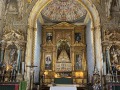 IMG_2992