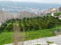 IMG_8985