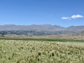 IMG_6462