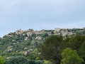 IMG_7564