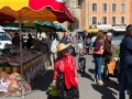 IMG_7620