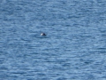P1060493