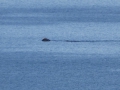 P1060498