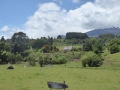 P1360673