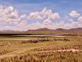 IMG_6799