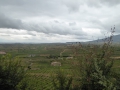 P1020689
