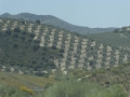 P1100287