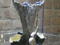 P1230632