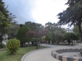 P1070524
