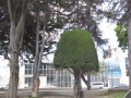 P1070550