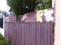 P1070569
