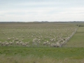P1340790