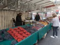 P1300144