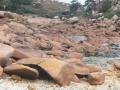 P1280598