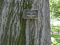 P1040047