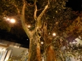 P1000532