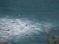 IMG_2173