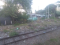 P1050593