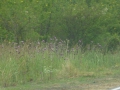 P1220844