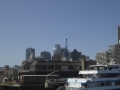 P1130382