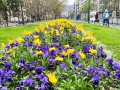 IMG_3694