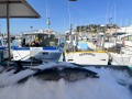 IMG_0508