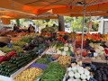 IMG_7714