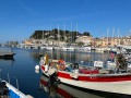 IMG_7728