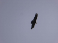 P1250846