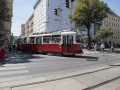 IMG_1310