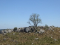 P1210728