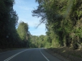 P1360803