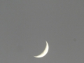 P1180997