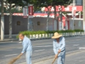 P1030384