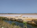 P1002300