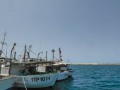 P1270137