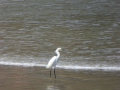 P1050255