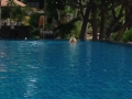Foto 2[3]