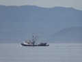 P1050911