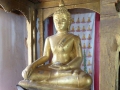 P1070888